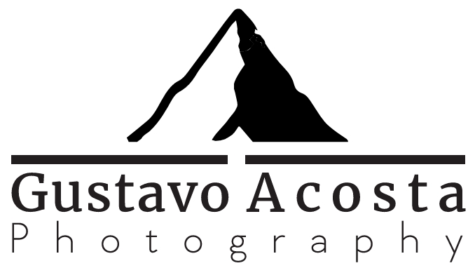Gustavo Acosta Logo
