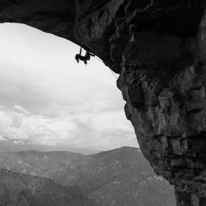 Black climbing